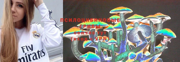 прущая мука Богданович